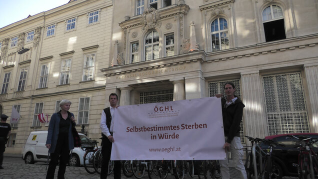 Mitglieder der ÖGHL halten vor dem Gebäude des VfGH ein Plakat hoch